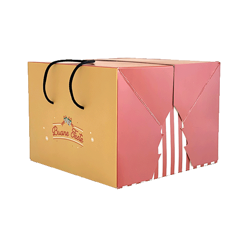 prodotti-scatola-panettone-all-in-one-2023-migliore-srl-packaging-e-cartotecnica-modica